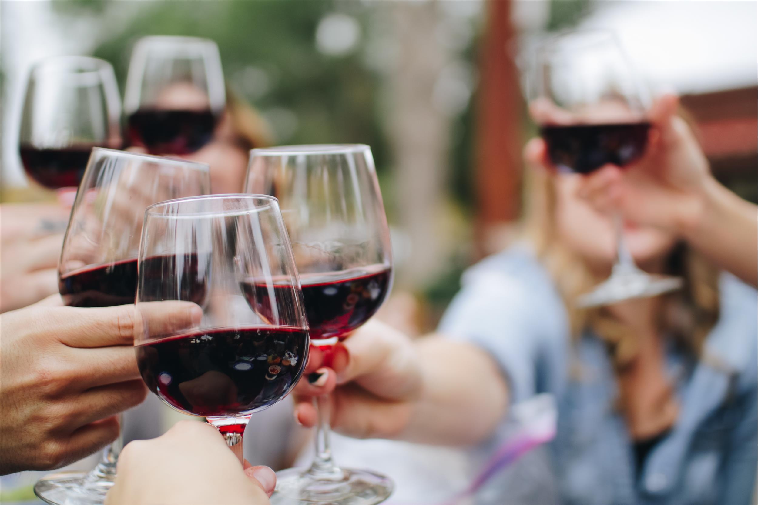 people toasting their wine glasses